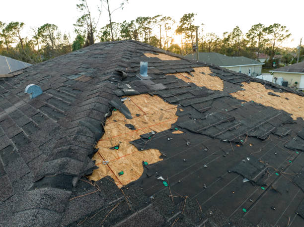 Best Metal Roofing Installation  in Sour Lake, TX